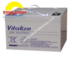 Ác Quy Vitalize VGS 12100(12V-100AH)